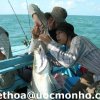 Cau Ca Biển